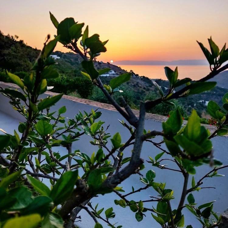 Patmos Chora Traditional Villa Genadio Экстерьер фото